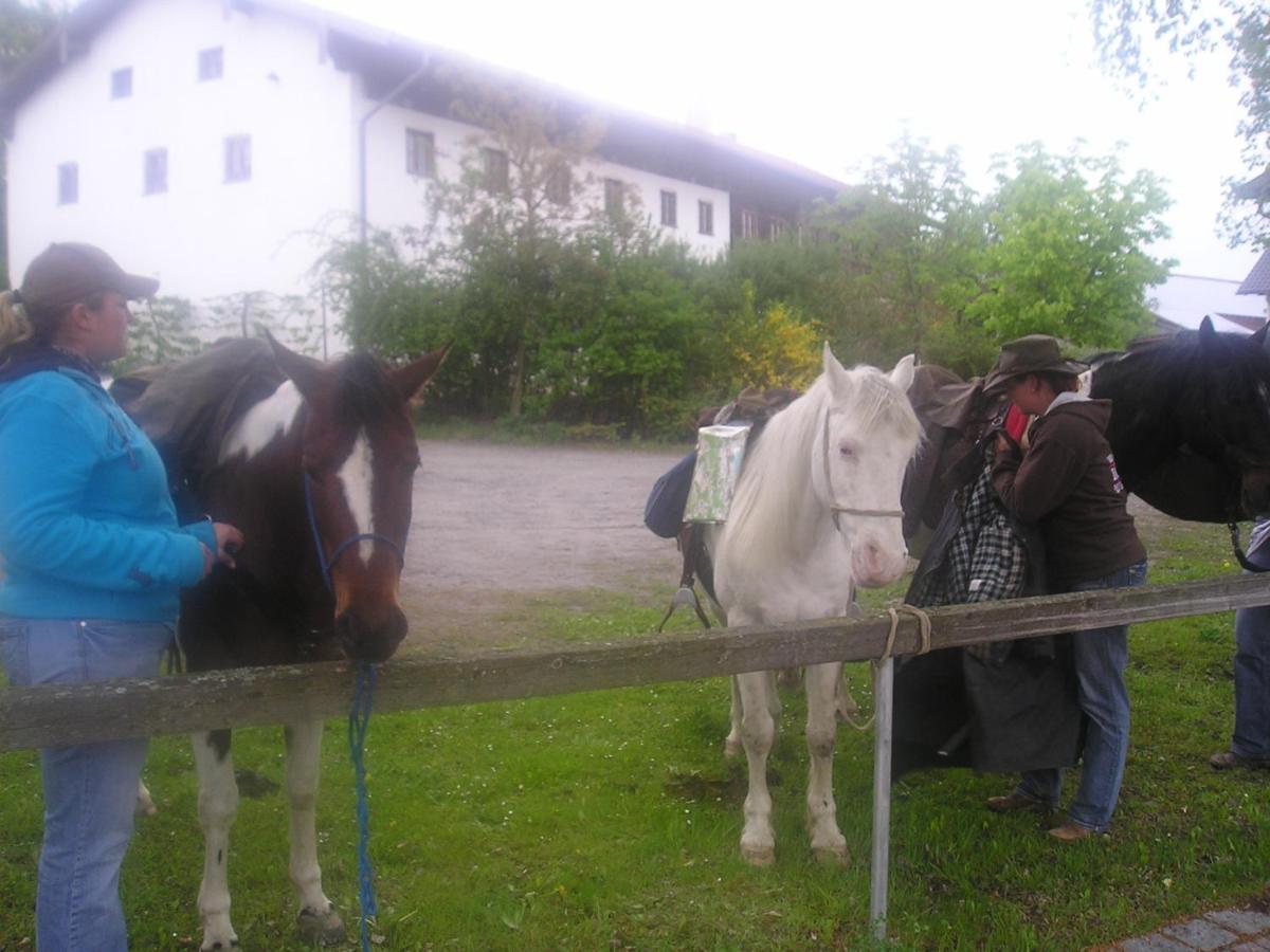 Gasthaus Zum Spaeth Englmannsberg المظهر الخارجي الصورة